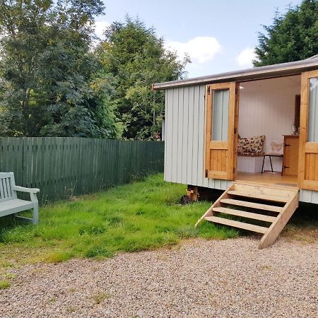 The Llama Hut Kirklevington Екстериор снимка