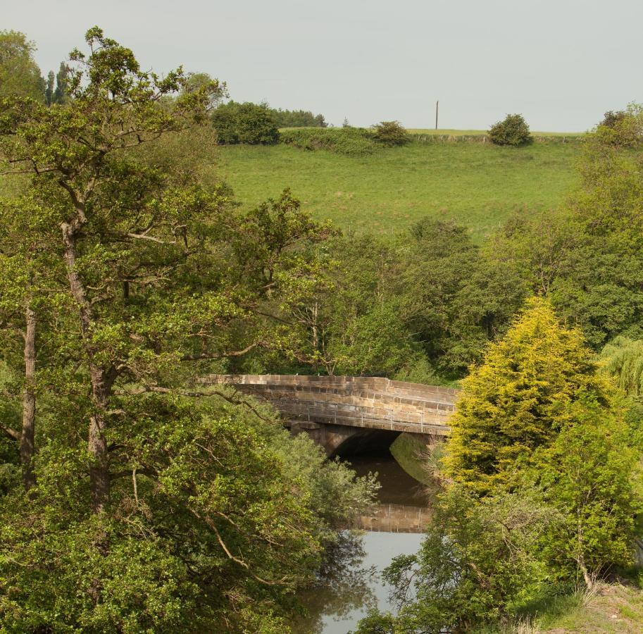 The Llama Hut Kirklevington Екстериор снимка