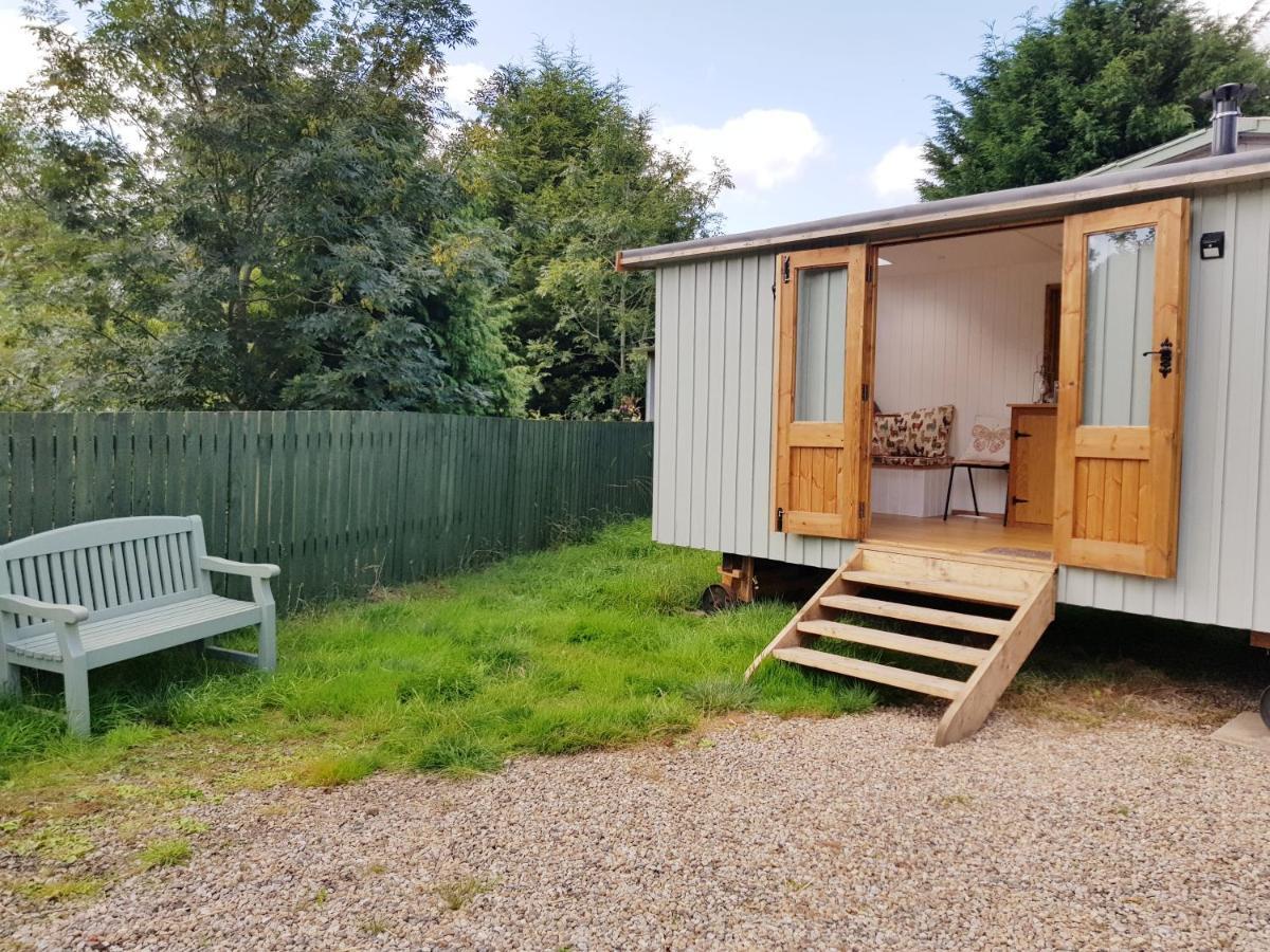 The Llama Hut Kirklevington Екстериор снимка